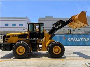 Elektrik rou charjeman